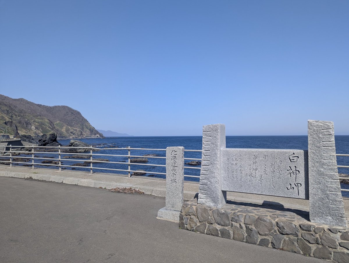 しまざき tweet media