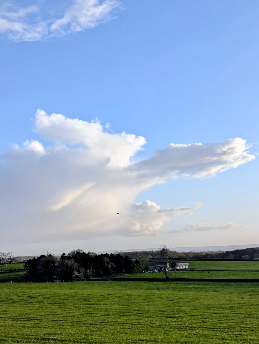 Papadopoli60571's tweet image. #clouds