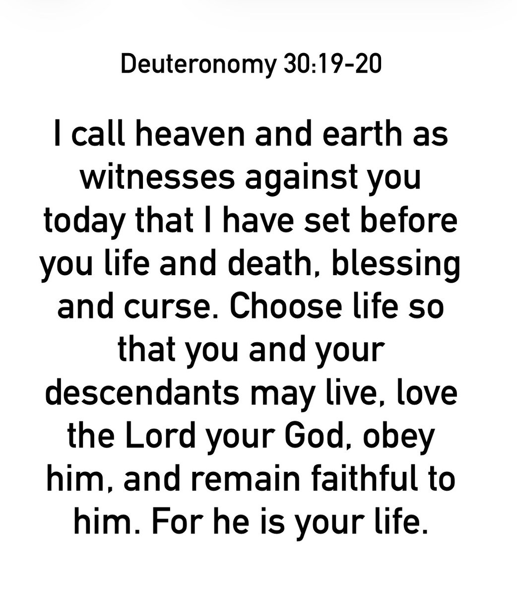 MarkDClements's tweet image. #votd