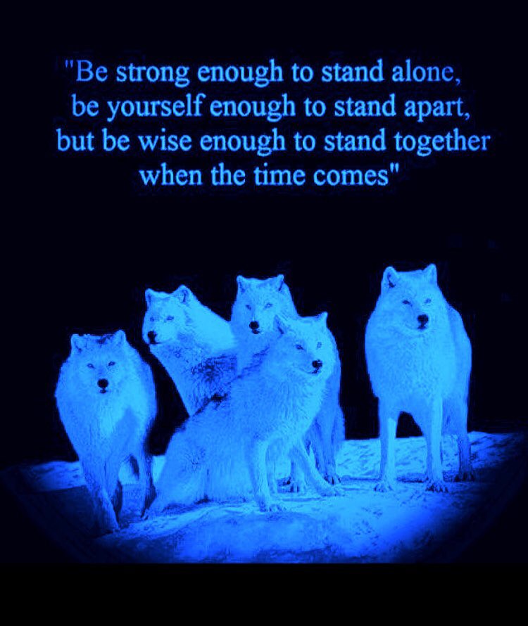 tmcolleyyahooc2's tweet image. Just heartbreakingly Beautiful❤️#AllLivesMatter ❤️