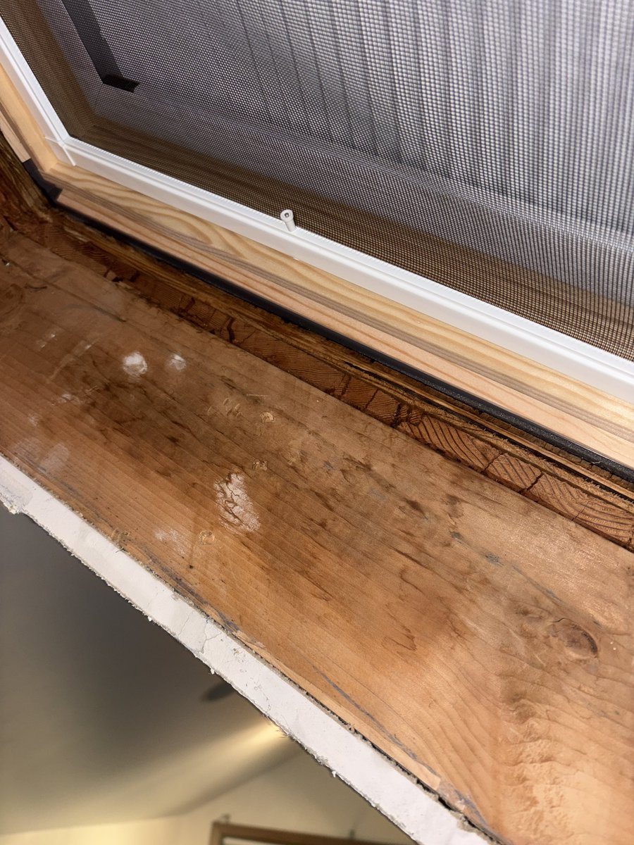 ghxstdoro's tweet photo. And now bugs are crawling out of here 😭 couldnt sleep https://t.co/RfWN1kxg2N