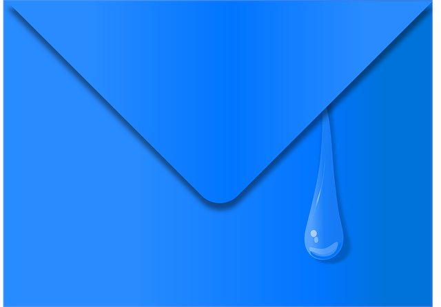 Wayi Wallace tweet media