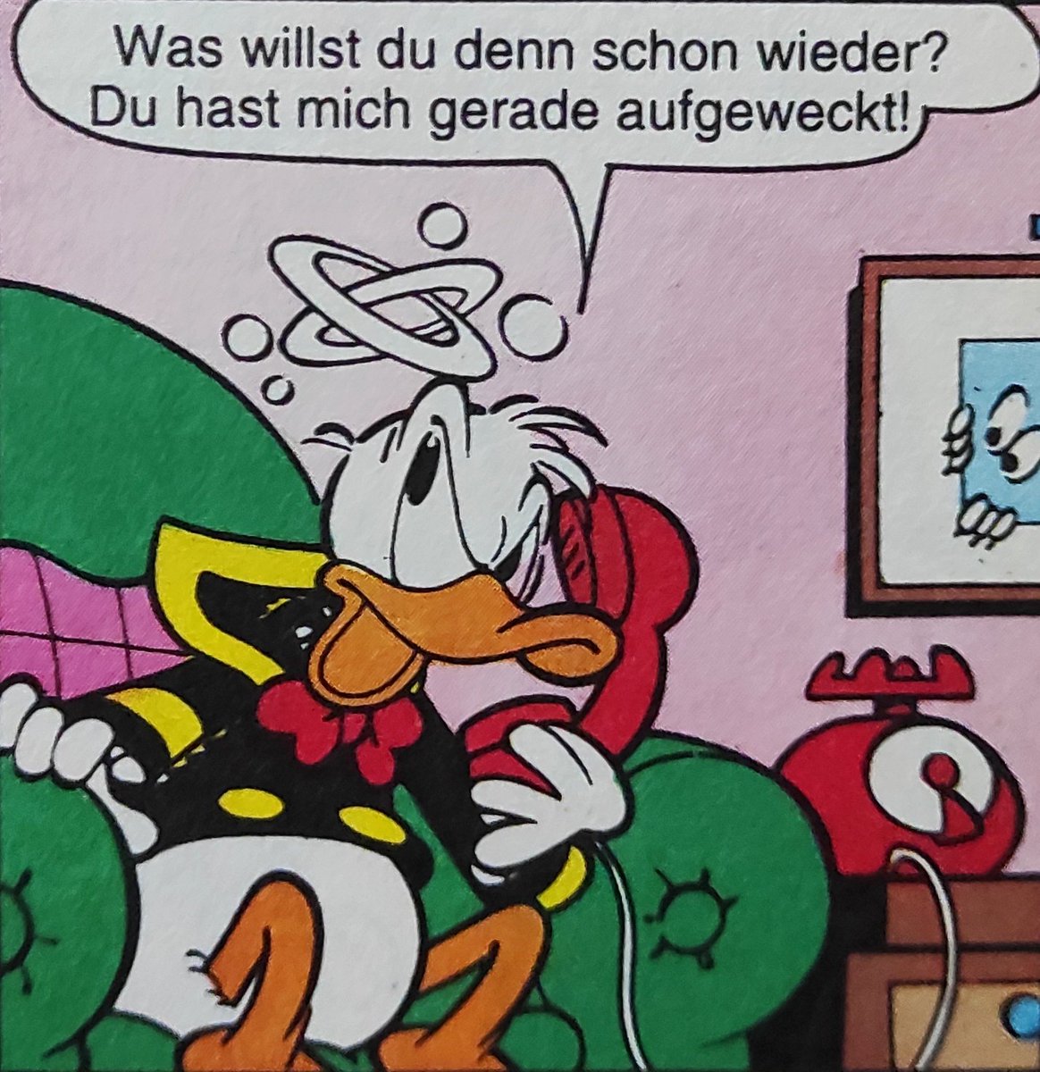 Entenfan tweet media