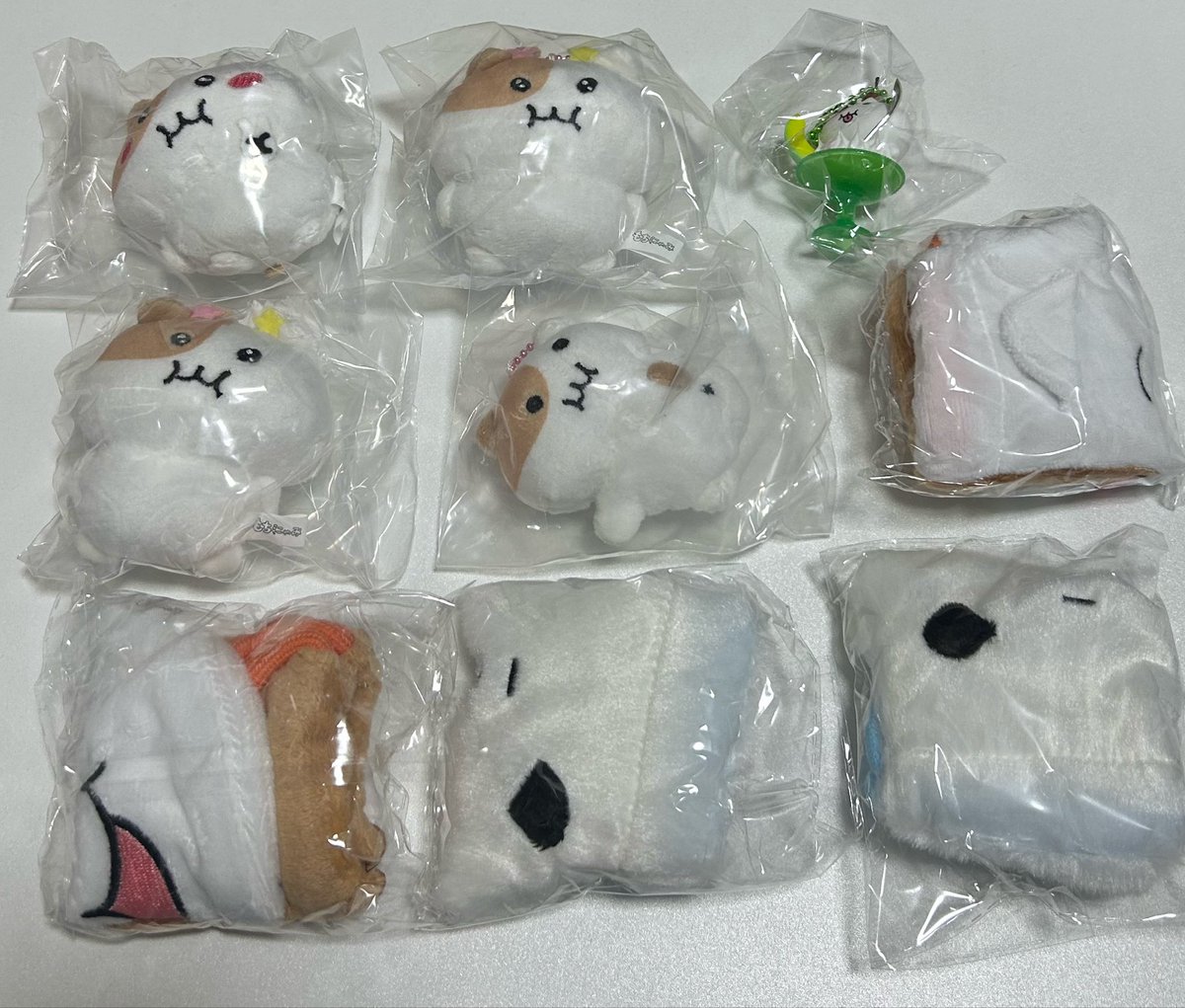 蘭（難しい場合♡） tweet media