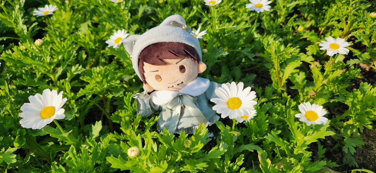 바남(BANAM) tweet media