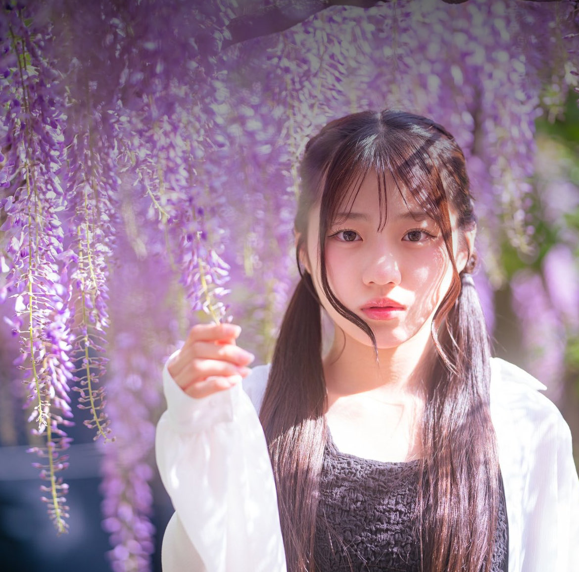 ko_ha_ne_1130's tweet photo. 藤の花すごく綺麗でした💜

📸@katsu241 https://t.co/0Ja8MsPt0Y