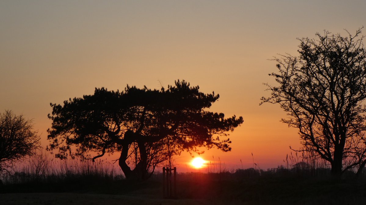 Suzanne Klemann tweet media