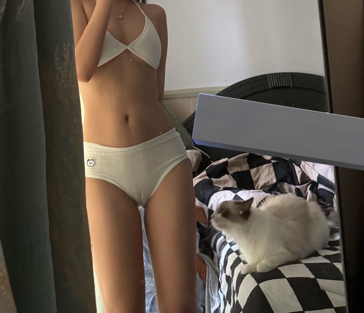 小熊可奈茶 tweet media