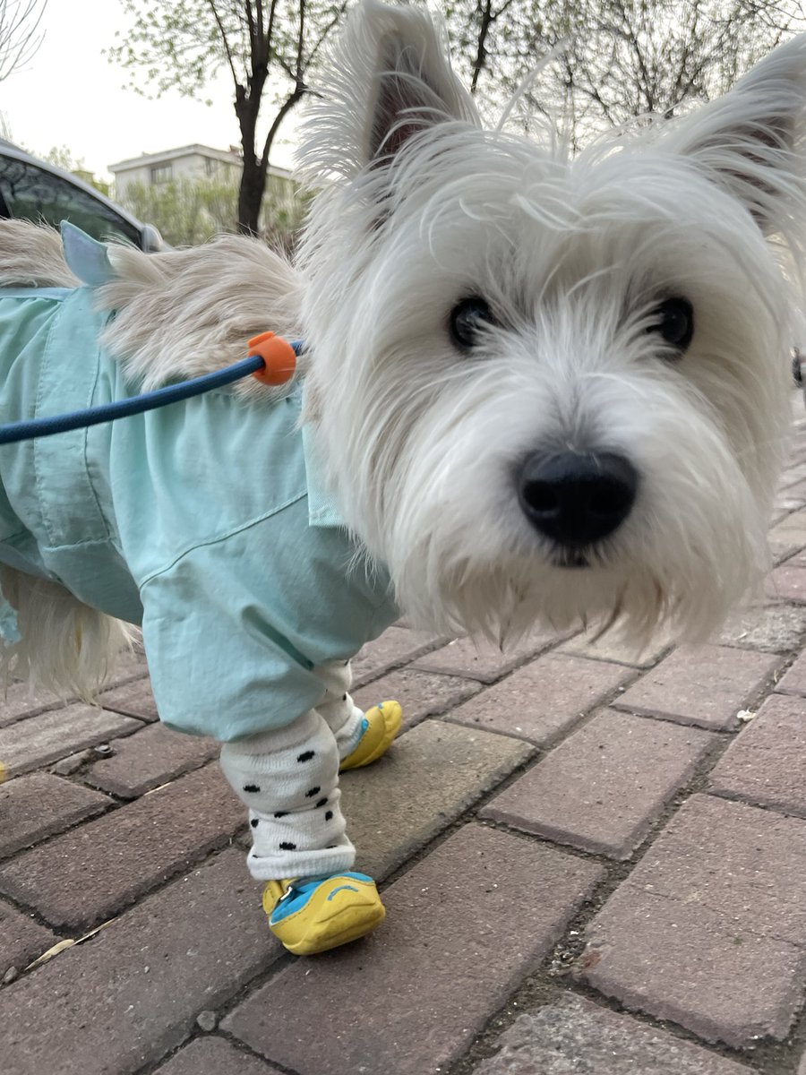 乐讷（互fo） tweet media