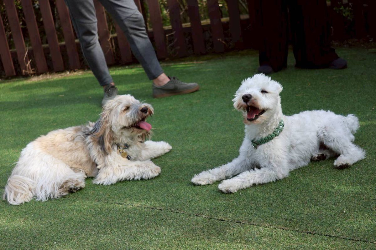 もちゃまる tweet media