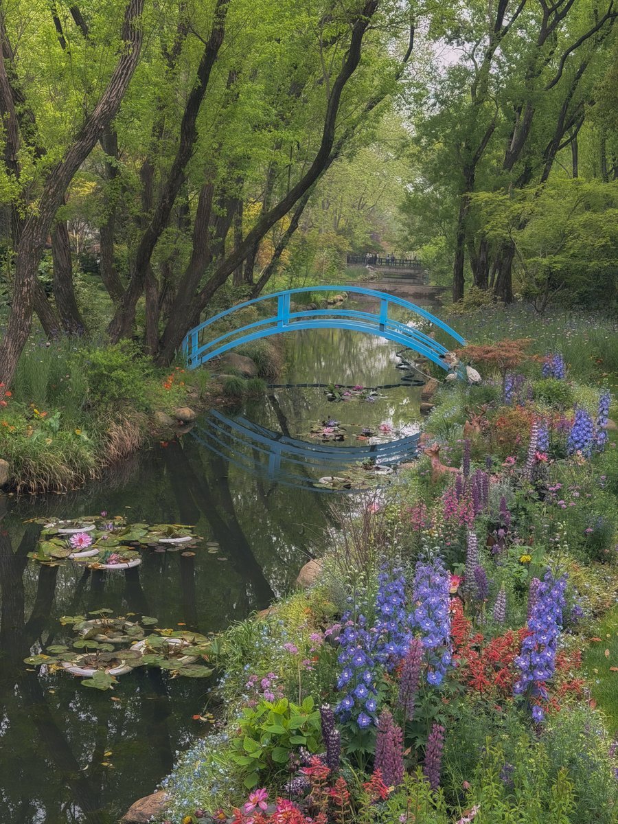 Kyleravi & Blooming Cha tweet media