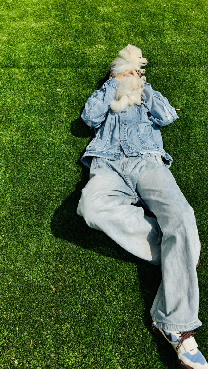 LDH SCREAM OFFICIAL tweet media