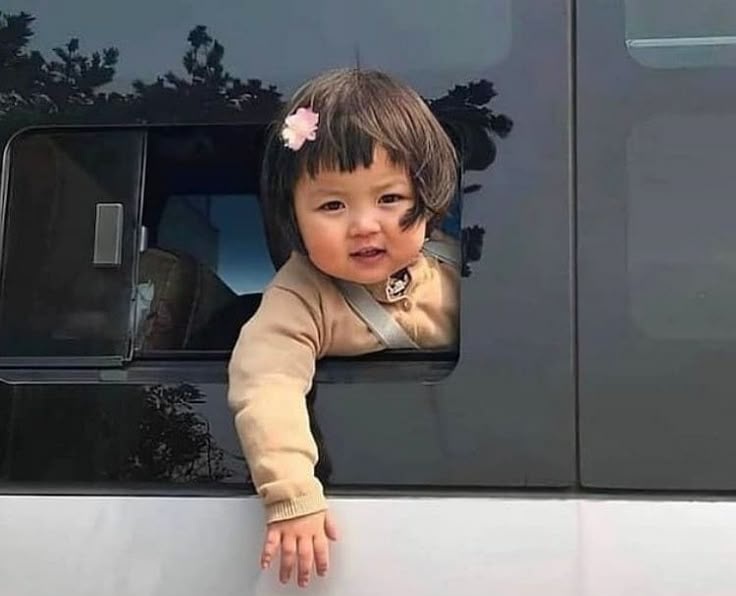 🦢 خانی tweet media