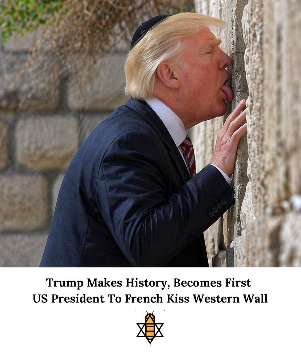 The Babylon Bibi tweet media