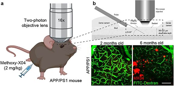 TK Kozai (BIONICLab.org) tweet media