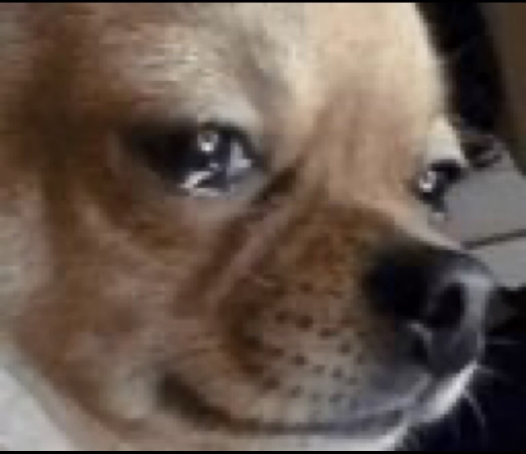 Why is TL dry like this?? 
Where did all my mutuals go 😭🤲