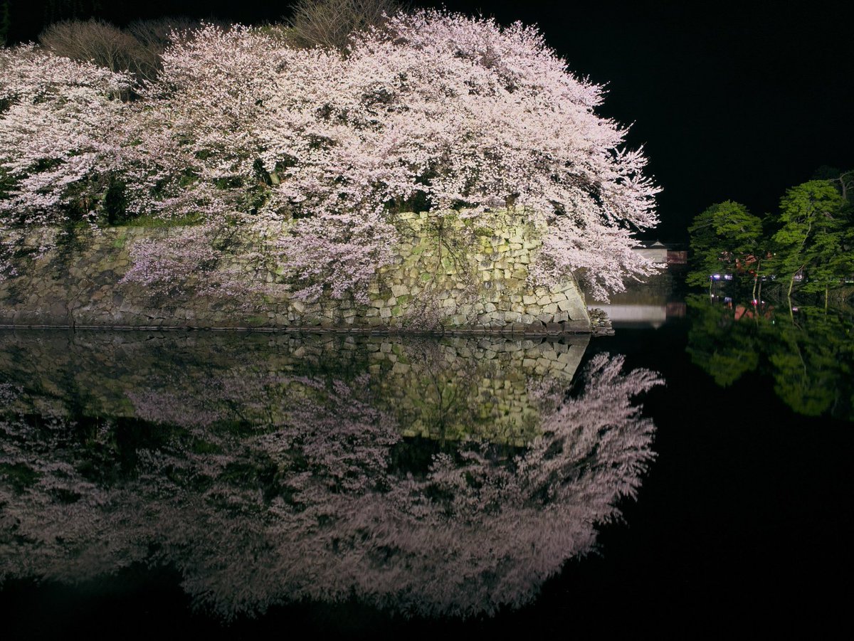 ざんざるぶ tweet media