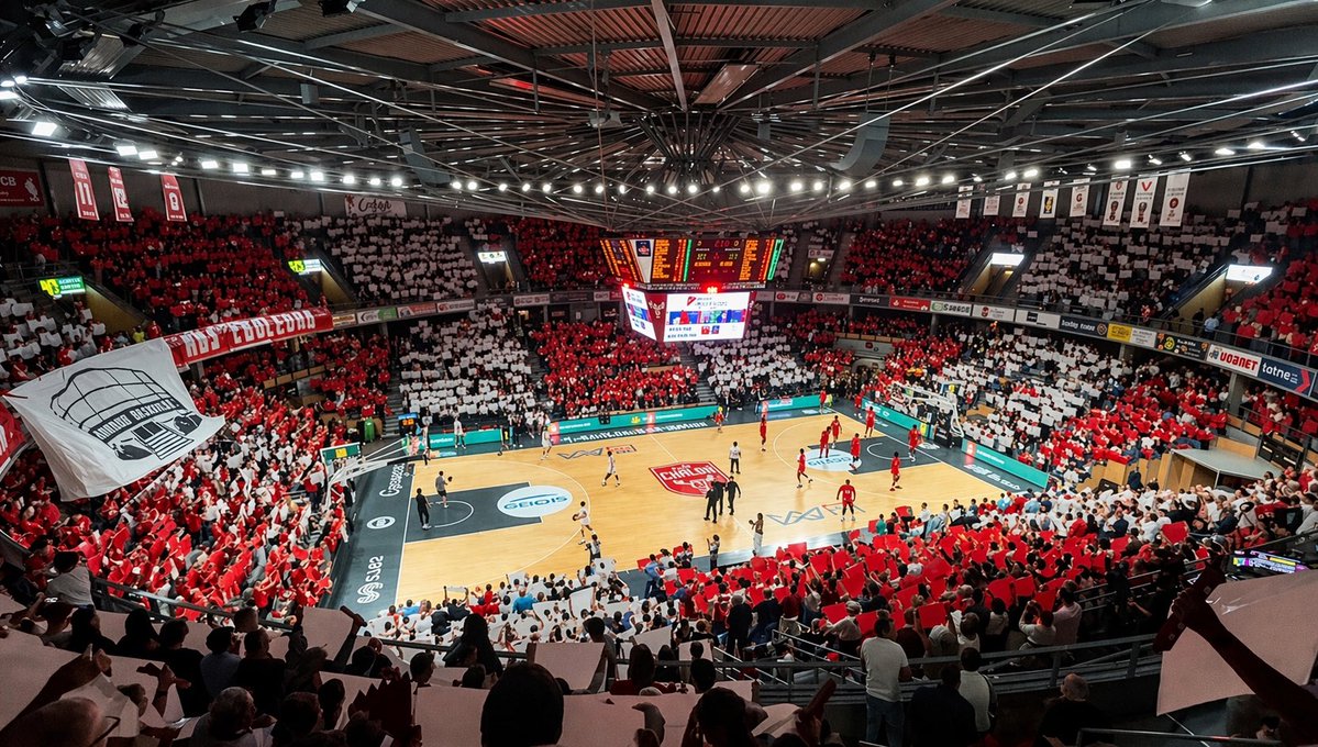 Elan Chalon tweet media