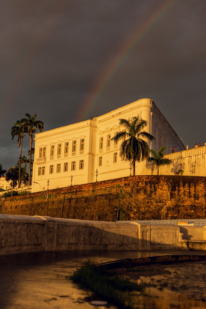 Alan Rodrigues 📸 tweet media