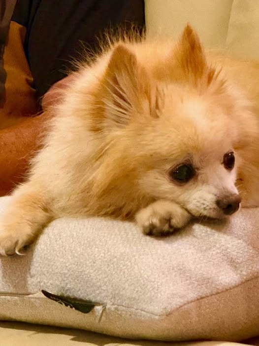 J. David Bethel tweet media