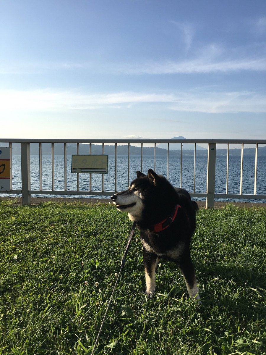 Lucaウマウマ🍪ルーカ tweet media