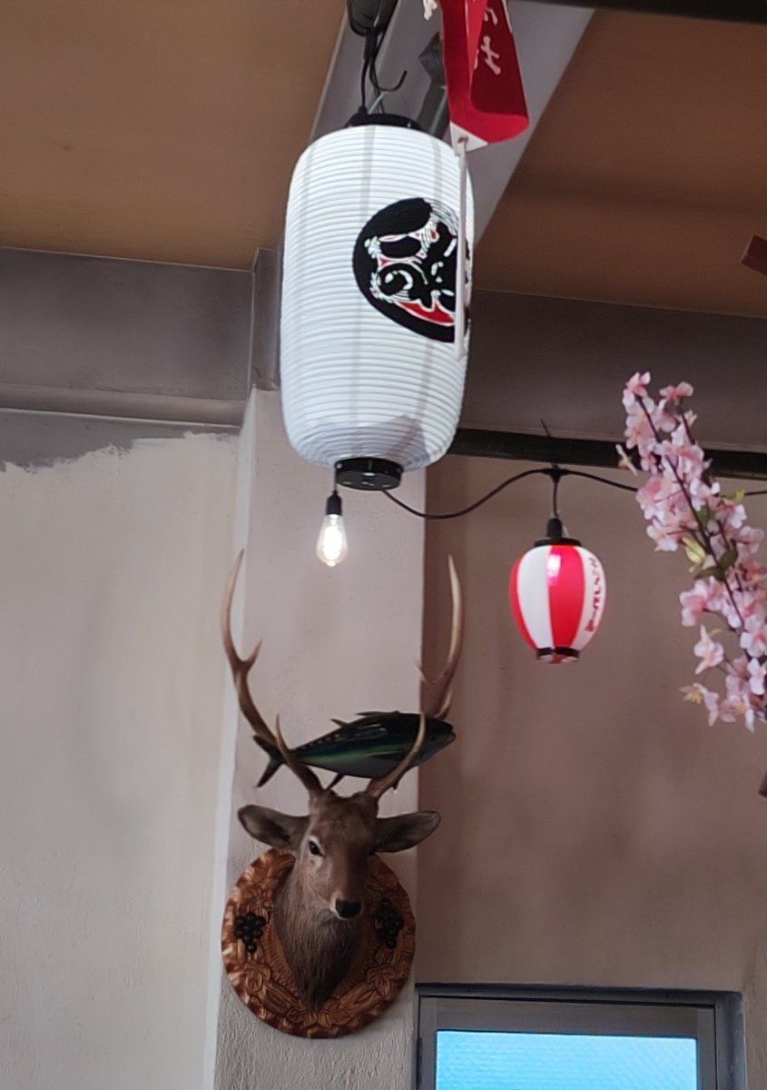 T.A.P(Theater Anywhere Project)の『本日、特上なしにつき』を浅草｢漁師の店 FISHERMAN'S KITCHEN｣へ見に行ってきました。朝、飲食店でお芝居をやるというのが斬新ですし、物語が身近にありそうな出来事で、過去一面白かった演劇でした。お目当ての実咲ふゆさんは目がキラッキラ輝いていました。