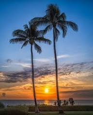 GulfAtlanticInd's tweet image. Rise &amp;amp; Shine #Florida ...

#HurricaneSeason2026 ...  Are You READY!!!

49 Days Away...GET #Hurricane &amp;amp; #Tornado READY ...

Call 800 679 0369 #BBB  &amp;gt; New #Roofs Hurricane Impact #Windows #Doors #StormShutters #ScreenPoolEnclosures Super High Efficiency Central A/C, #BlueRoofs