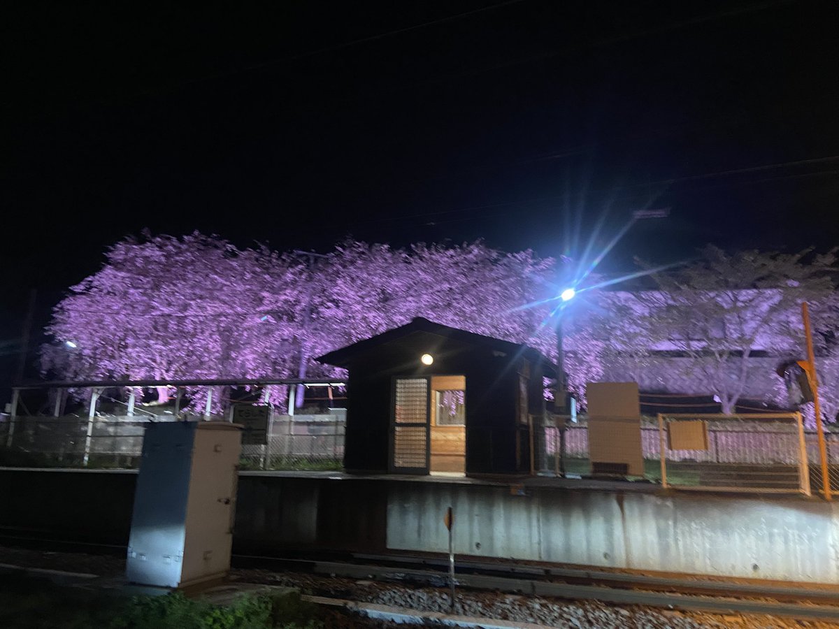 🌸まだ寺下駅の夜桜は楽しめますね
#上田市
#別所線