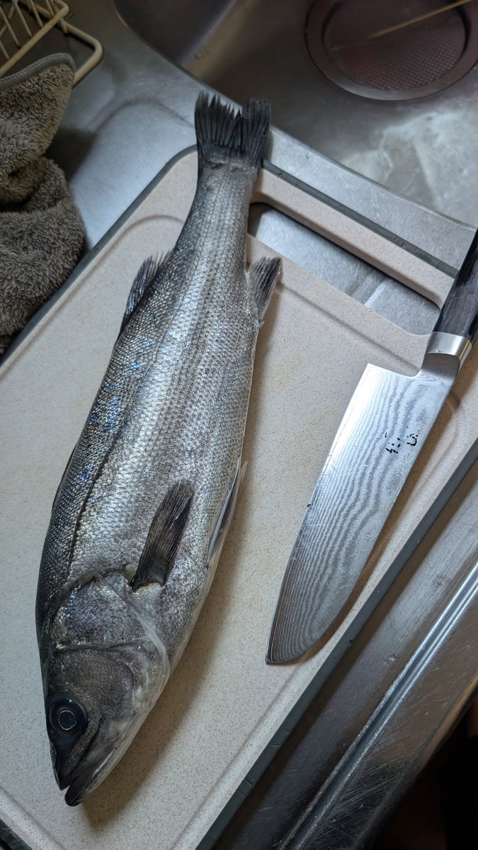 endlessクリア tweet media