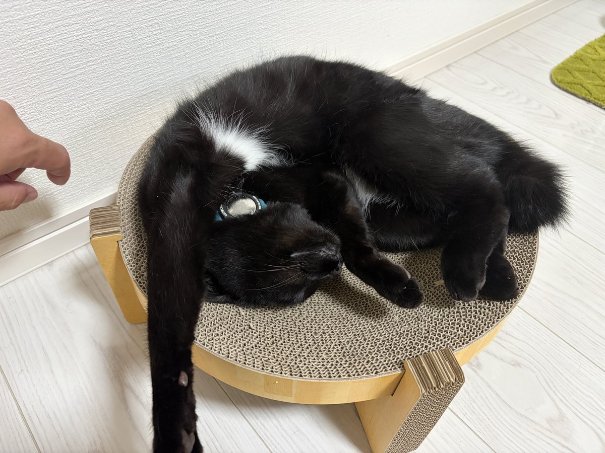 ラギ3 tweet media