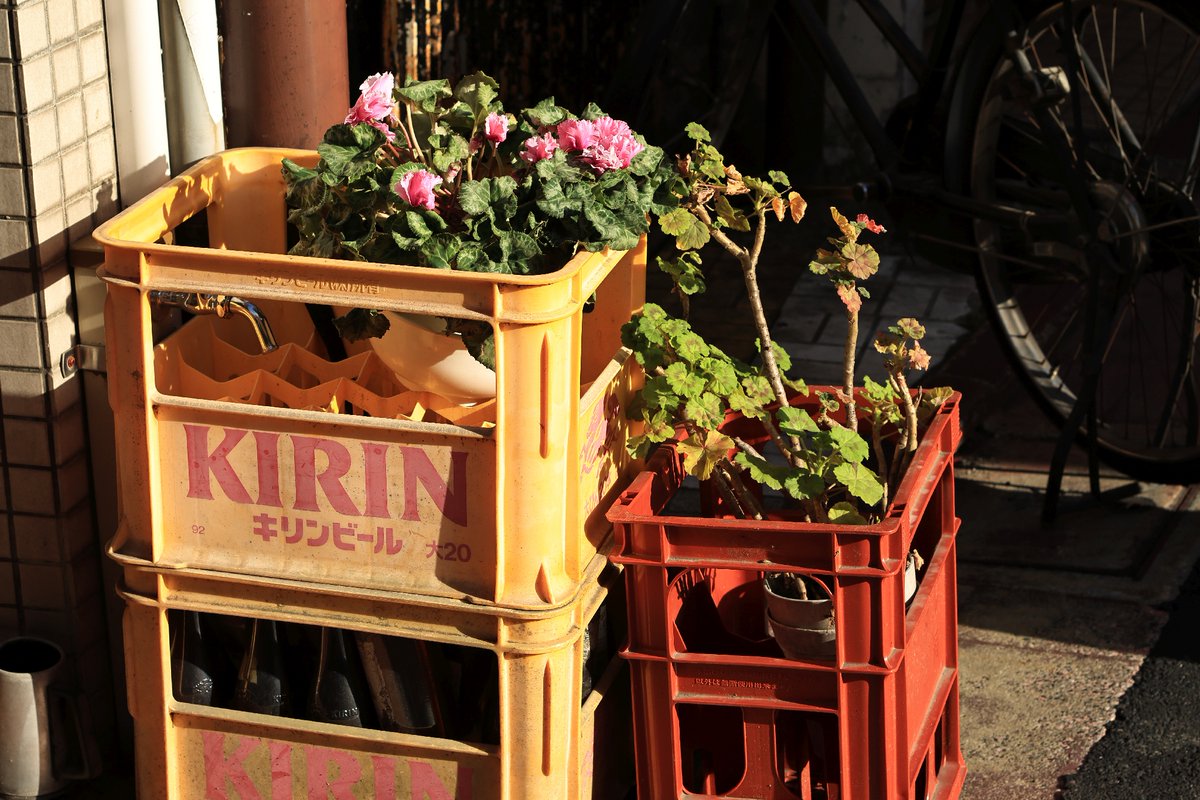 omnifactory's tweet image. これでおしまい。
FD、よく写って現代のレンズと思う時が
しばしばあって、もっとオールドレンズの持つ
レトロ感と柔らかさを出したいですなあ

Body：EOS R7
Lens：FD 50mm F1.8 SC
#Canon
#スナップ写真
#snapshot
#オールドレンズ