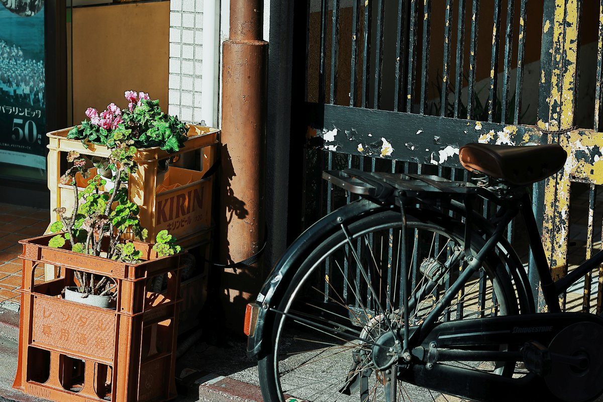 omnifactory's tweet image. これでおしまい。
FD、よく写って現代のレンズと思う時が
しばしばあって、もっとオールドレンズの持つ
レトロ感と柔らかさを出したいですなあ

Body：EOS R7
Lens：FD 50mm F1.8 SC
#Canon
#スナップ写真
#snapshot
#オールドレンズ