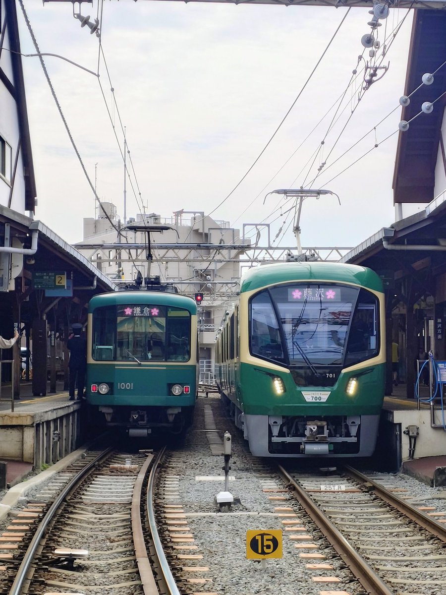 みんみん tweet media