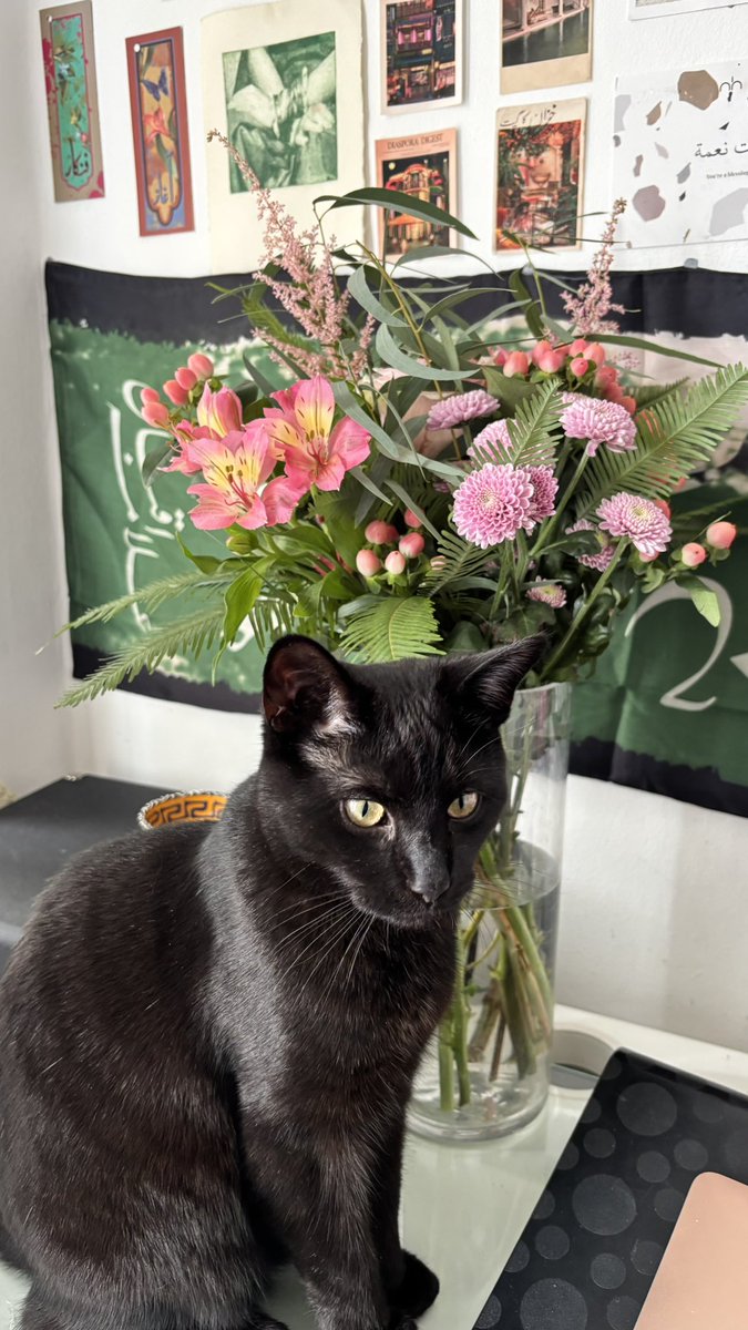 mari💞💌🪞🦢 tweet media