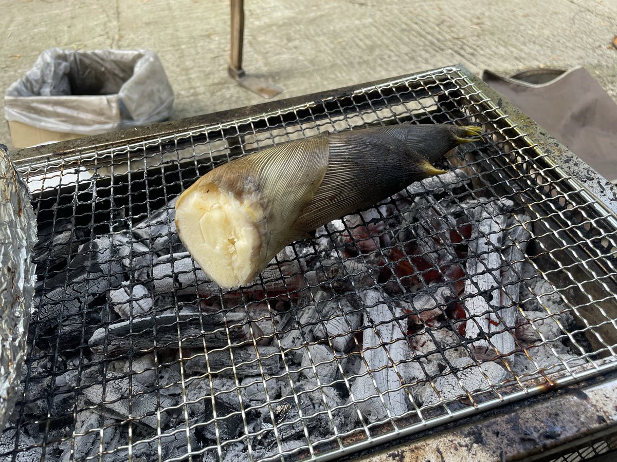 kaito🥐 tweet media