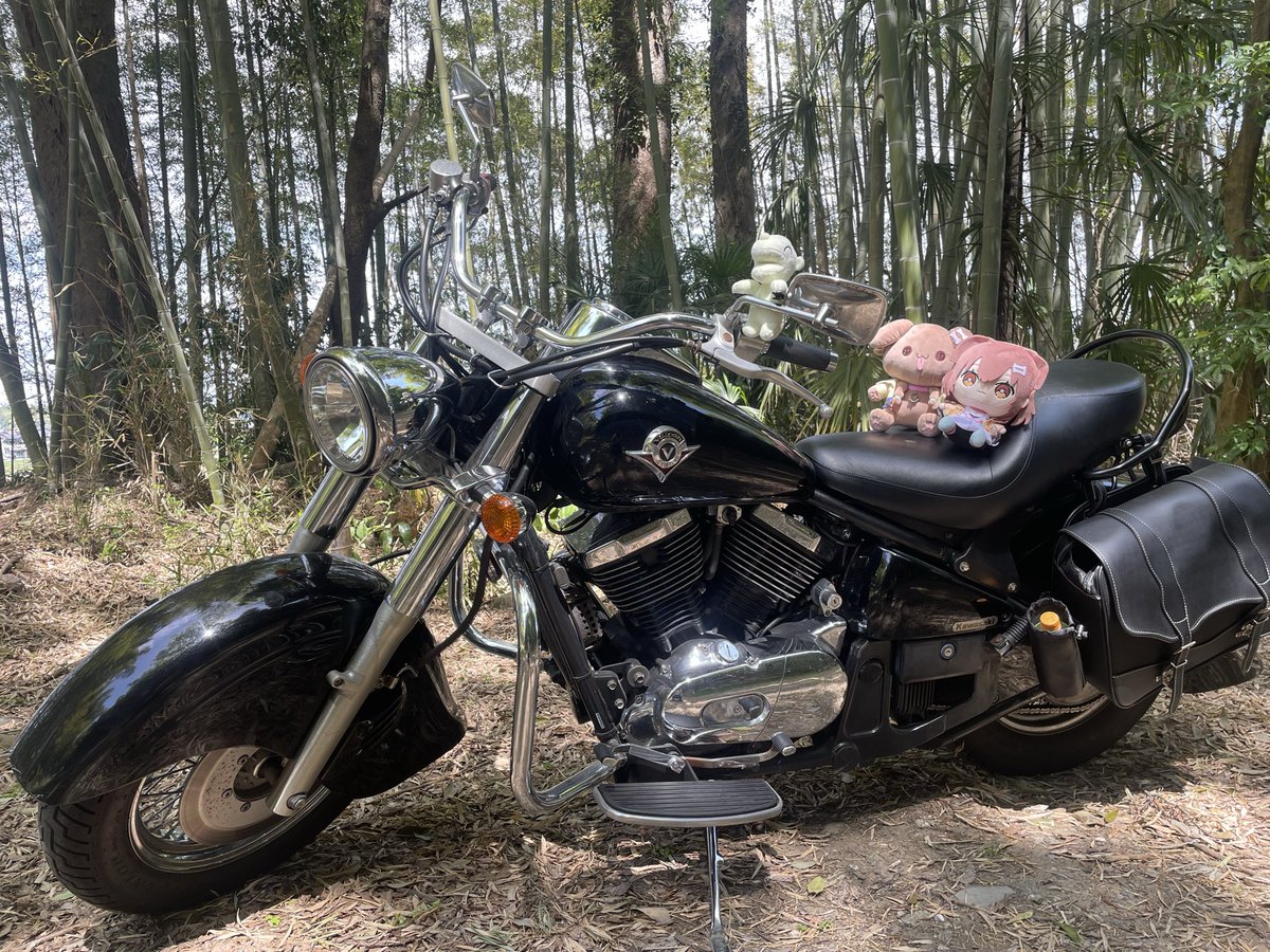 kaito🥐 tweet media