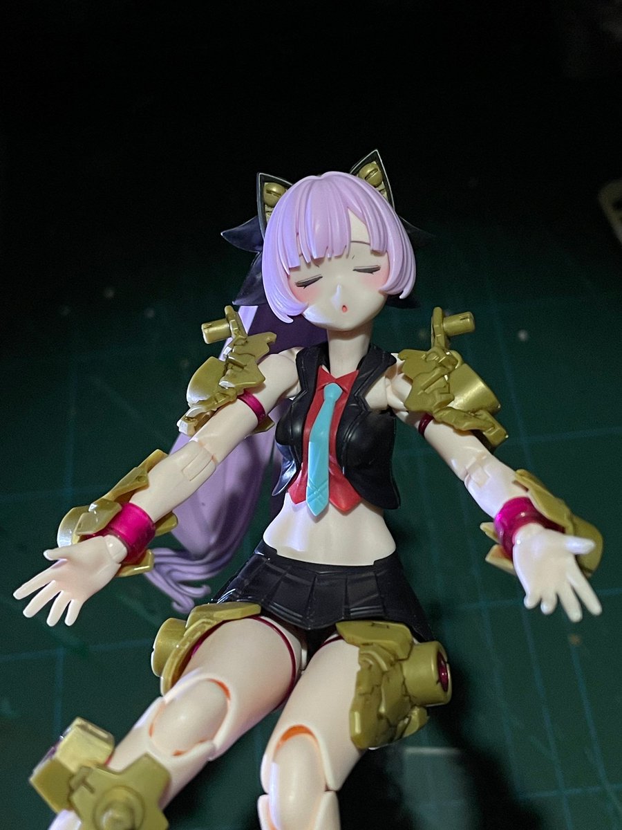 ふくねこ＠（のりお） tweet media