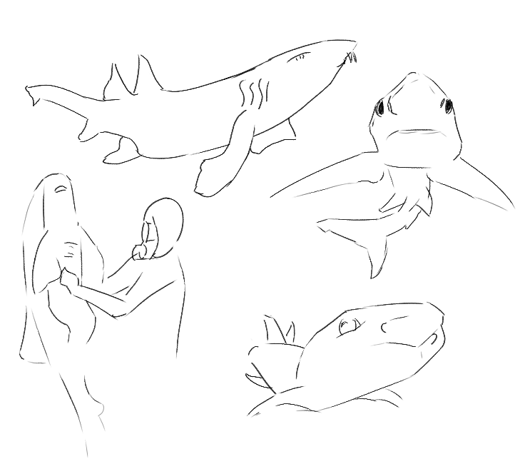 Sharkposting 🇺🇦I stand with Ukraine🇺🇦 tweet media