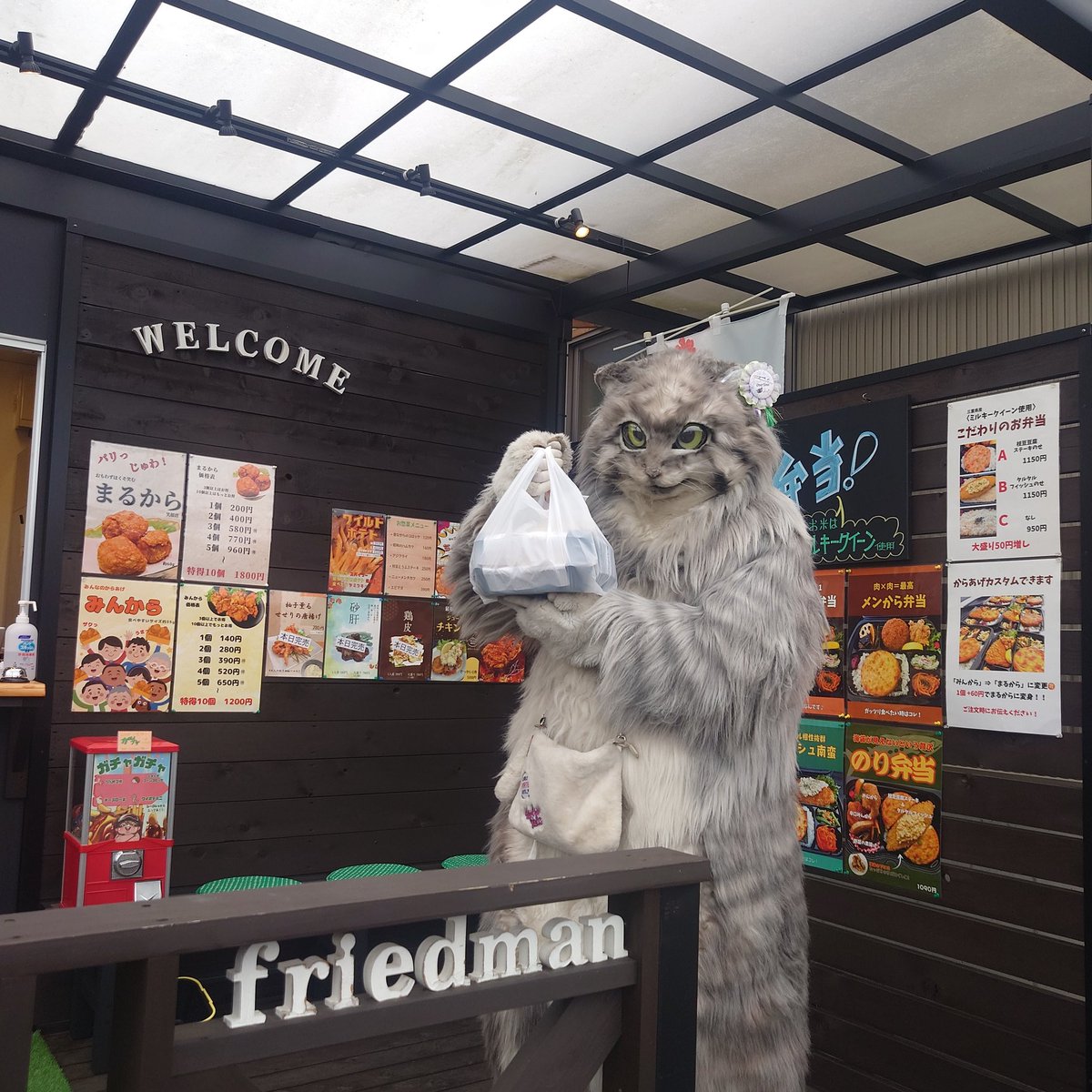 嬉しそう
#ウィングフライドマン　多治見

#マヌルネコの雷流 <a href="/lailcats/">雷流</a> #山田三毛猫ファミリー #マヌルネコ