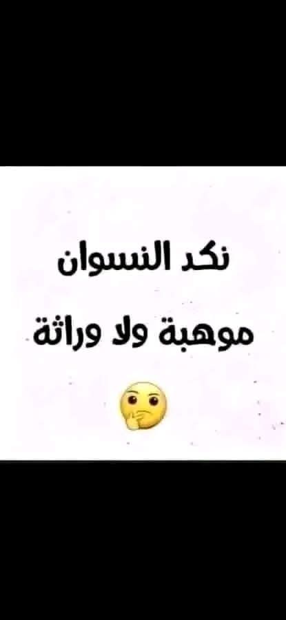 ألو أنا القطة tweet media