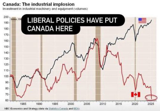 NaddyKat.Algo tweet media