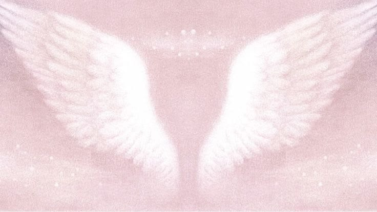 ⋆˚࿔ ari 𝜗𝜚˚⋆ tweet media