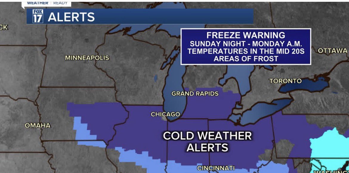 Kevin Craig tweet media