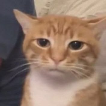 mijjuju's tweet image. this is seonghyeon