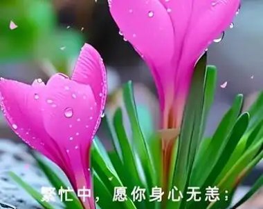 Benjamin Glasset tweet media