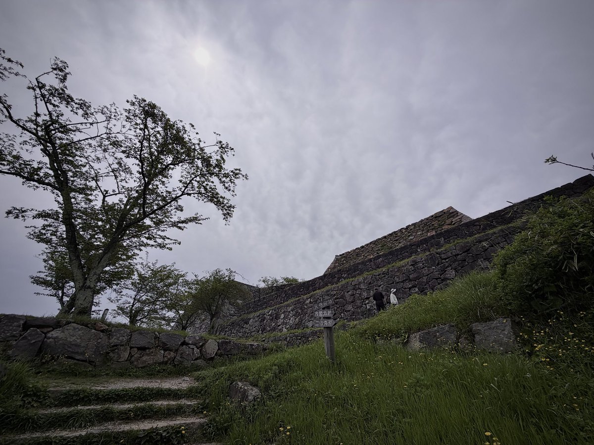 谷崎隆幸 tweet media