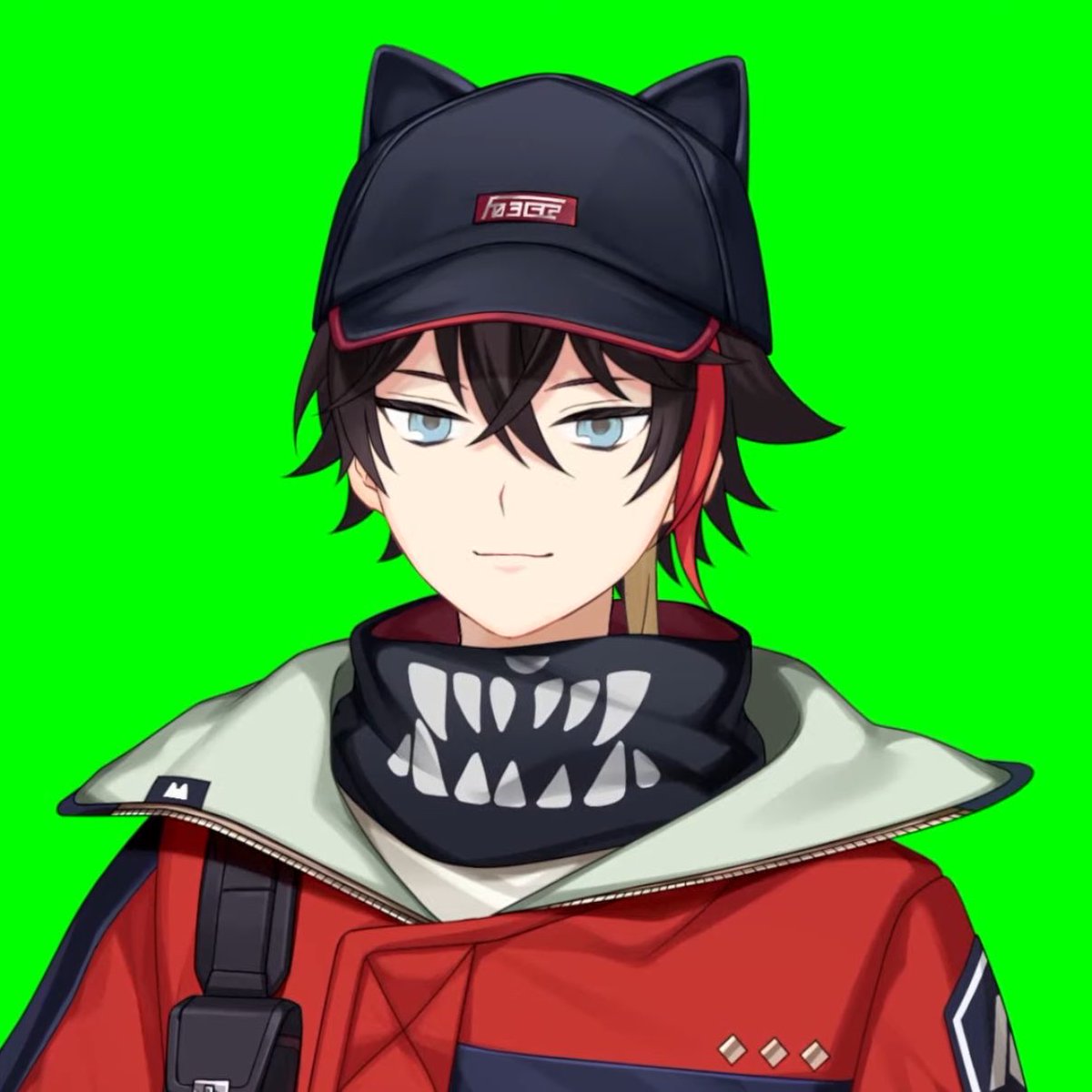 たくさん寝る、犬 tweet media