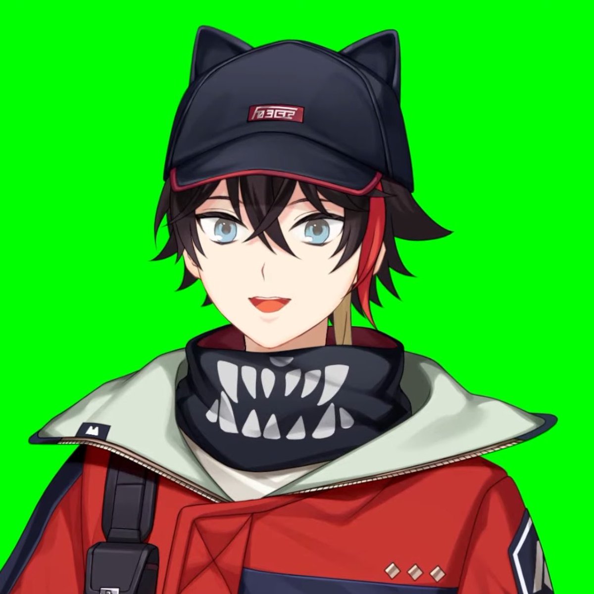 たくさん寝る、犬 tweet media