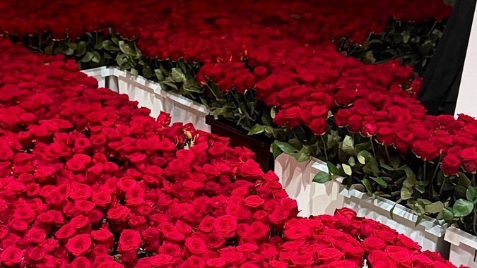 Boşuna Tıklama tweet media