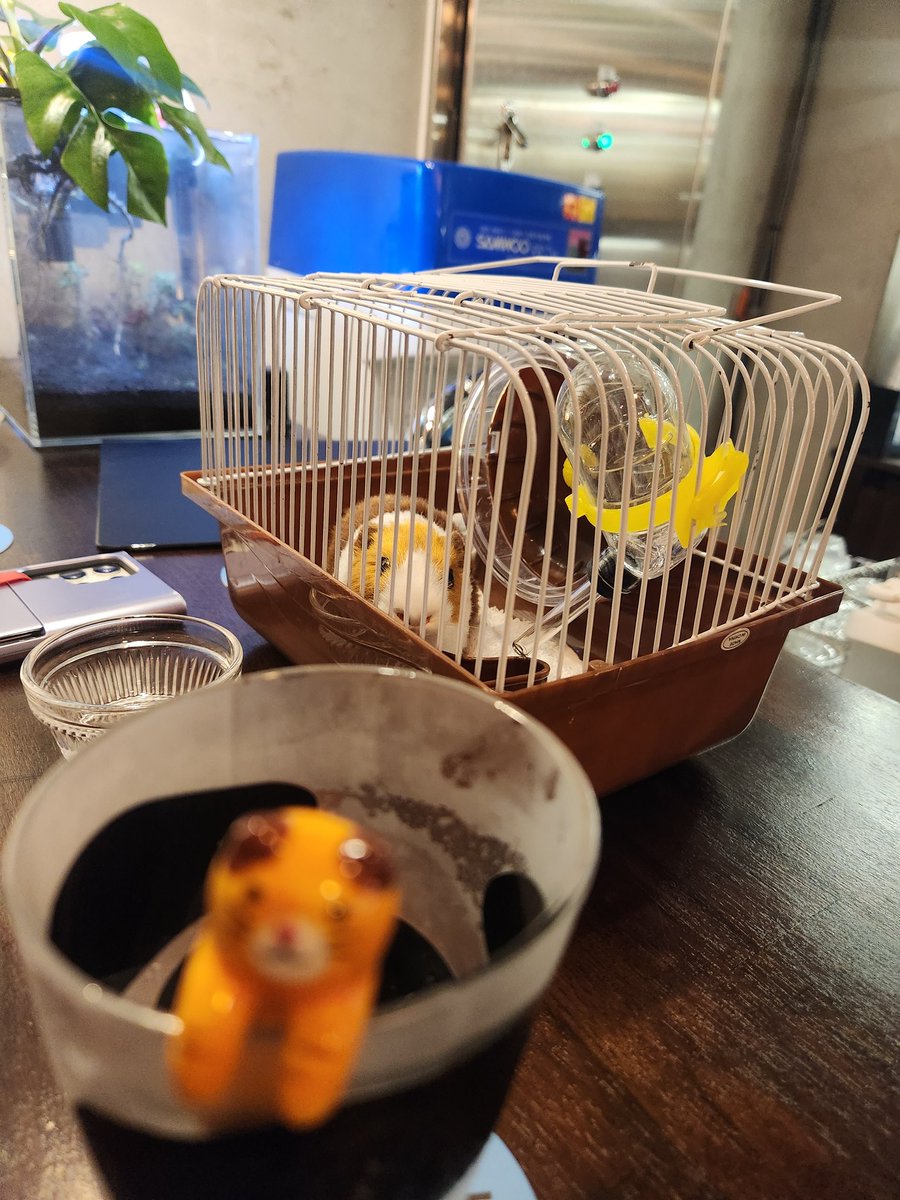 바남(BANAM) tweet media